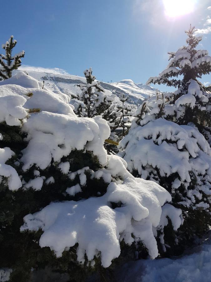 Residence : Le Crystal Chalet Les Deux Alpes Eksteriør billede